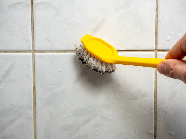 Office Mold Removal Services in Rustburg, VA