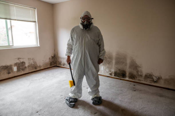 Best Toxic Mold Removal  in Rustburg, VA