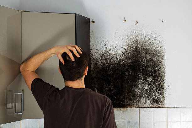 Best Local Mold Removal Service  in Rustburg, VA